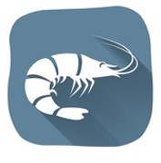 Pansit Bihon – Filipino rice noodles